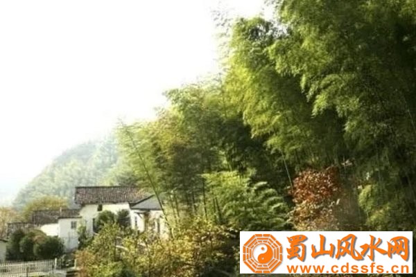 住宅大门旁边种竹子风水好不好