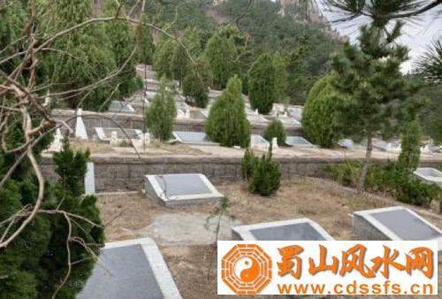 在风水学中，风水宝地墓地选址的原则有哪些？
