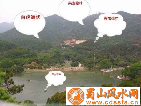 如何利用风水生财旺财转运