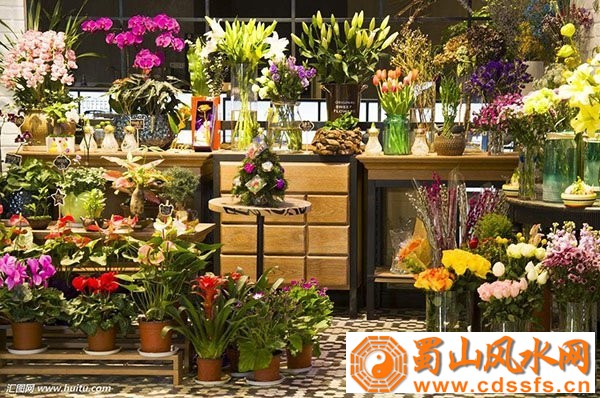店铺橱窗有哪些风水布局禁忌 花店方位风水摆设禁忌