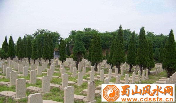 墓地不能建造在何处