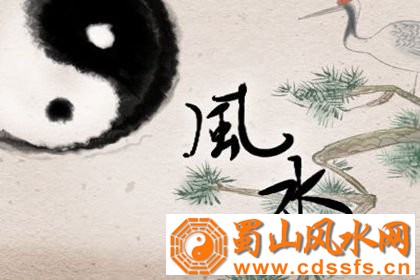 办公室最佳风水布局 放什么花最招财