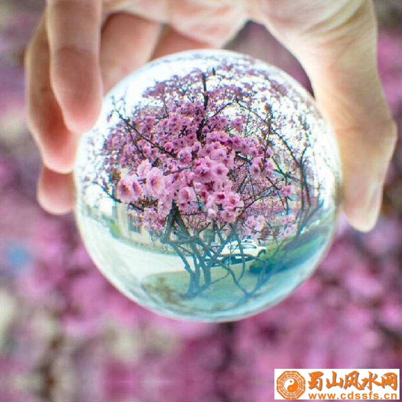 风水学开门见什么最有财运