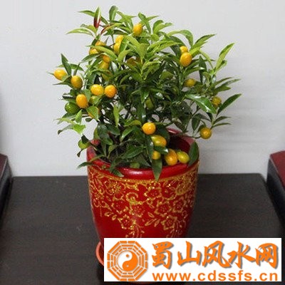 怎么布局可以使得店铺客源滚滚