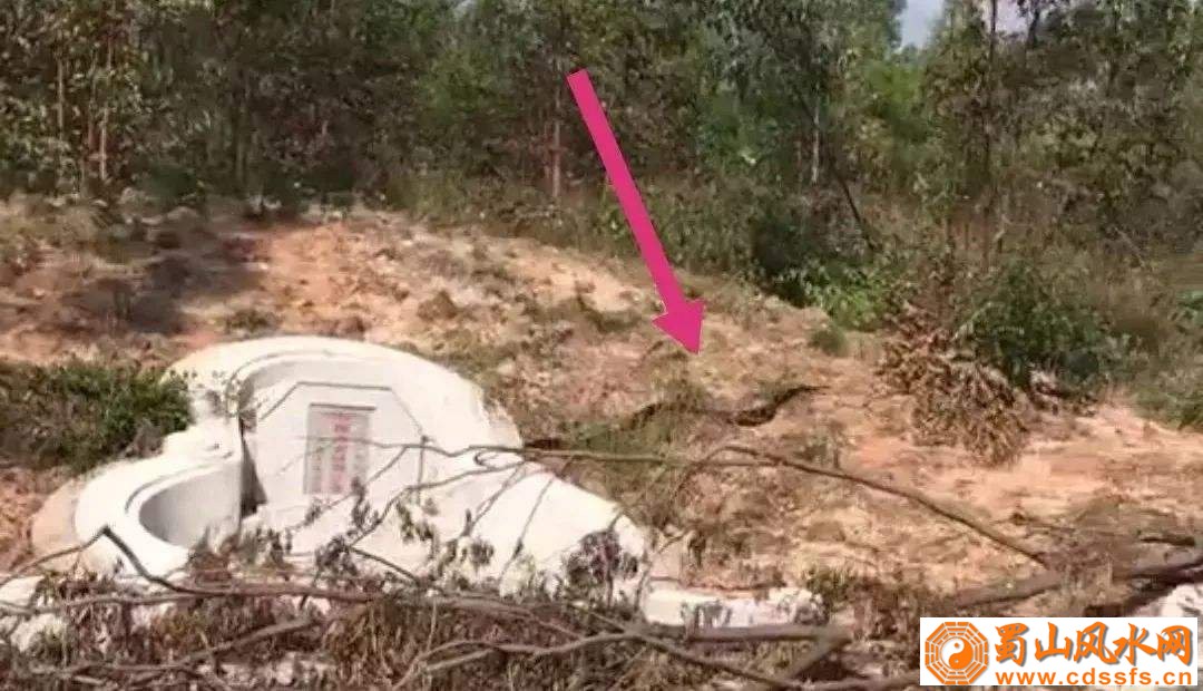 墓地有蛇代表什么 有什么讲究