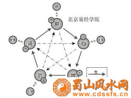 五行的生克法则