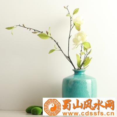 阳宅风水家里门口放什么招财