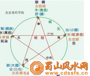 五行的生克法则